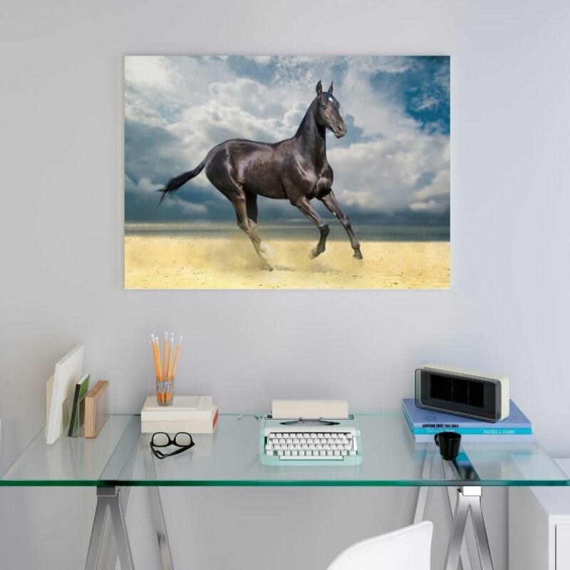 poster cheval akhal teke bureau
