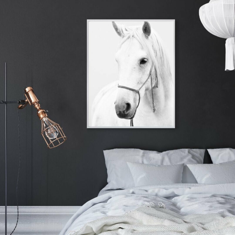 poster cheval blanc noir et blanc chambre