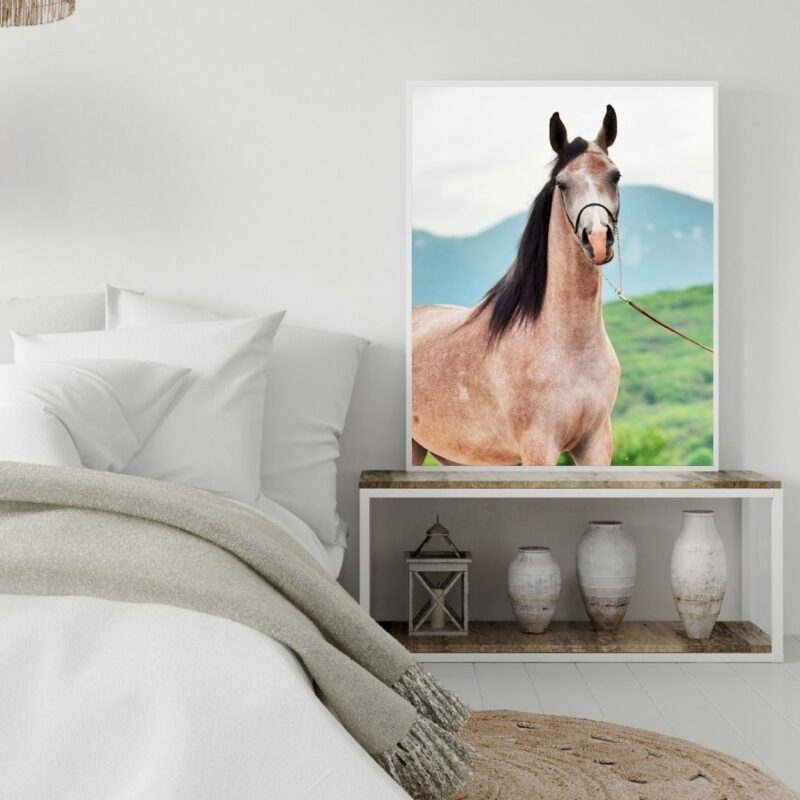 poster cheval gris 2 chambre