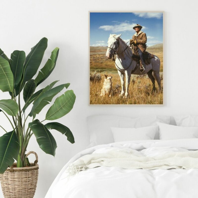 poster cheval homme chien chambre