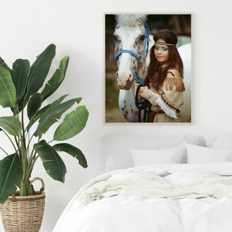 poster cheval indien chambre 1
