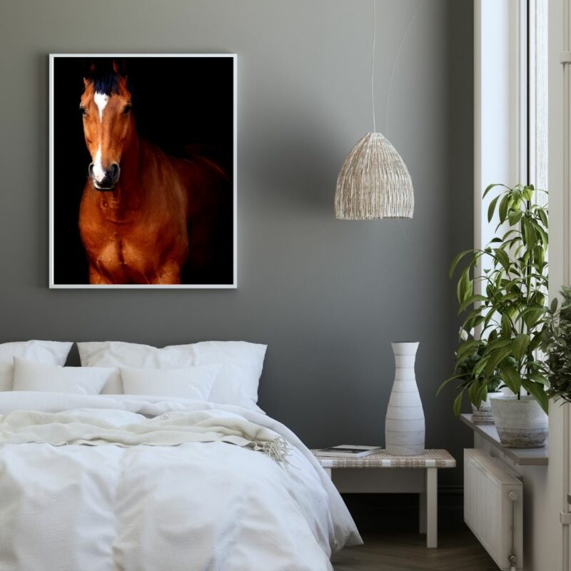 poster cheval marron chambre