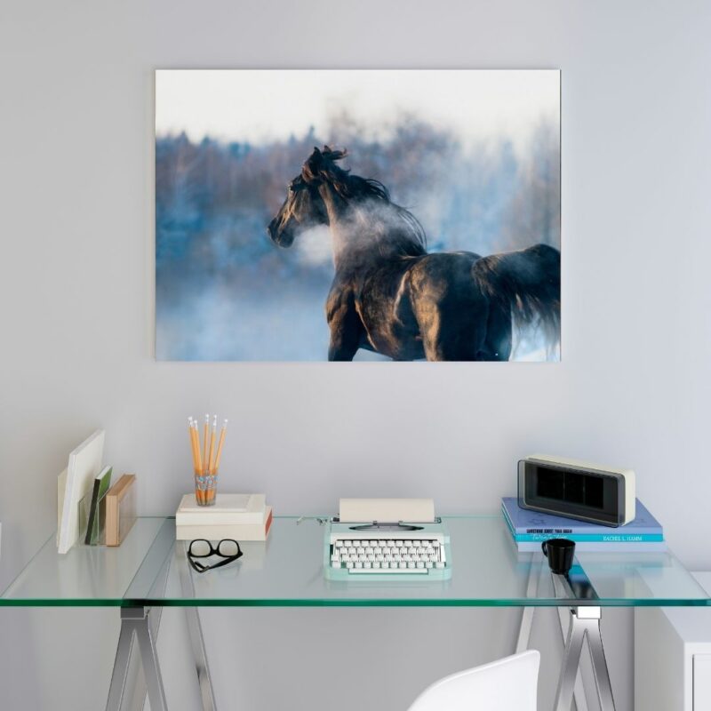 poster cheval noir brume bureau