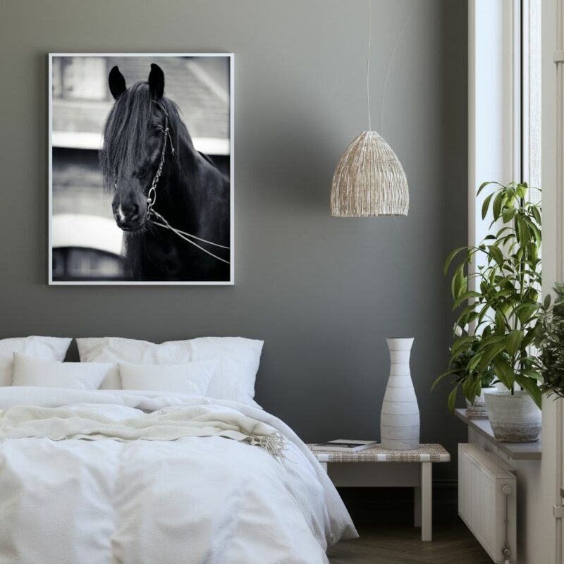 poster cheval noir chambre
