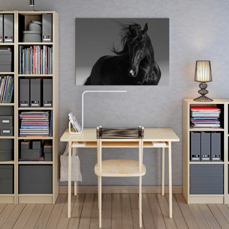 poster cheval noir noir et blanc bureau