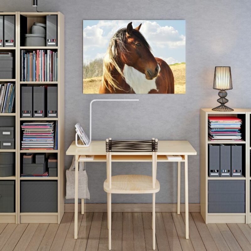 poster cheval profil bureau