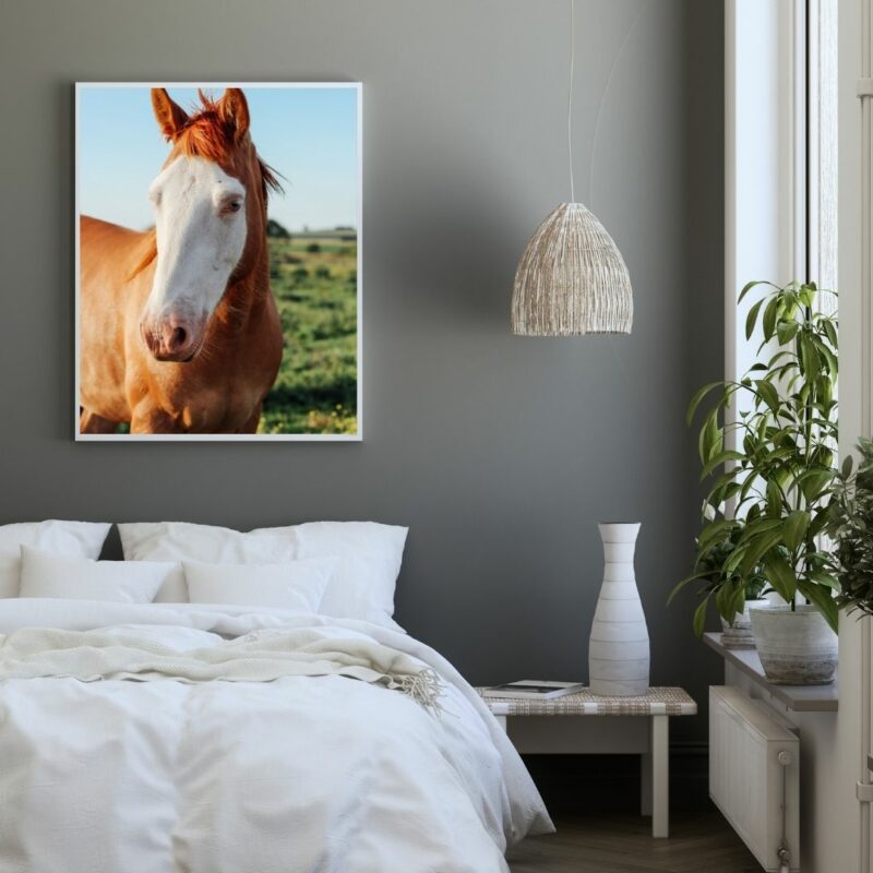 poster cheval tete blanche chambre