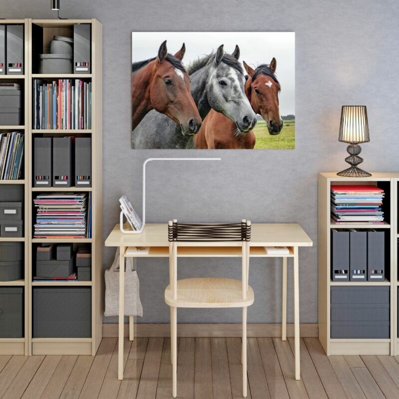 poster trio chevaux bureau