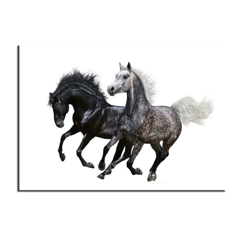 tableau cheval iberique